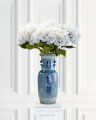 Hydrangea Cut Flower White