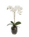 Orkidé kunstig plante hvit
