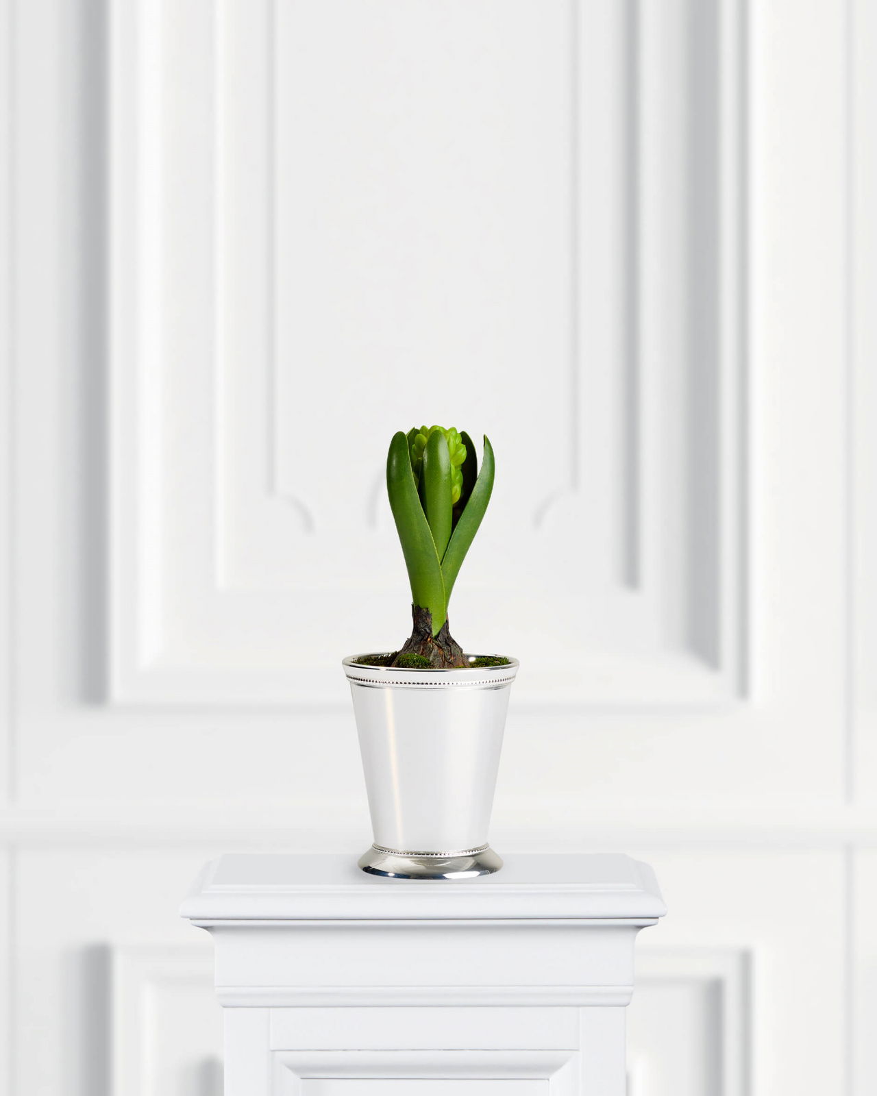 Hyacinth Artificial Plant Green