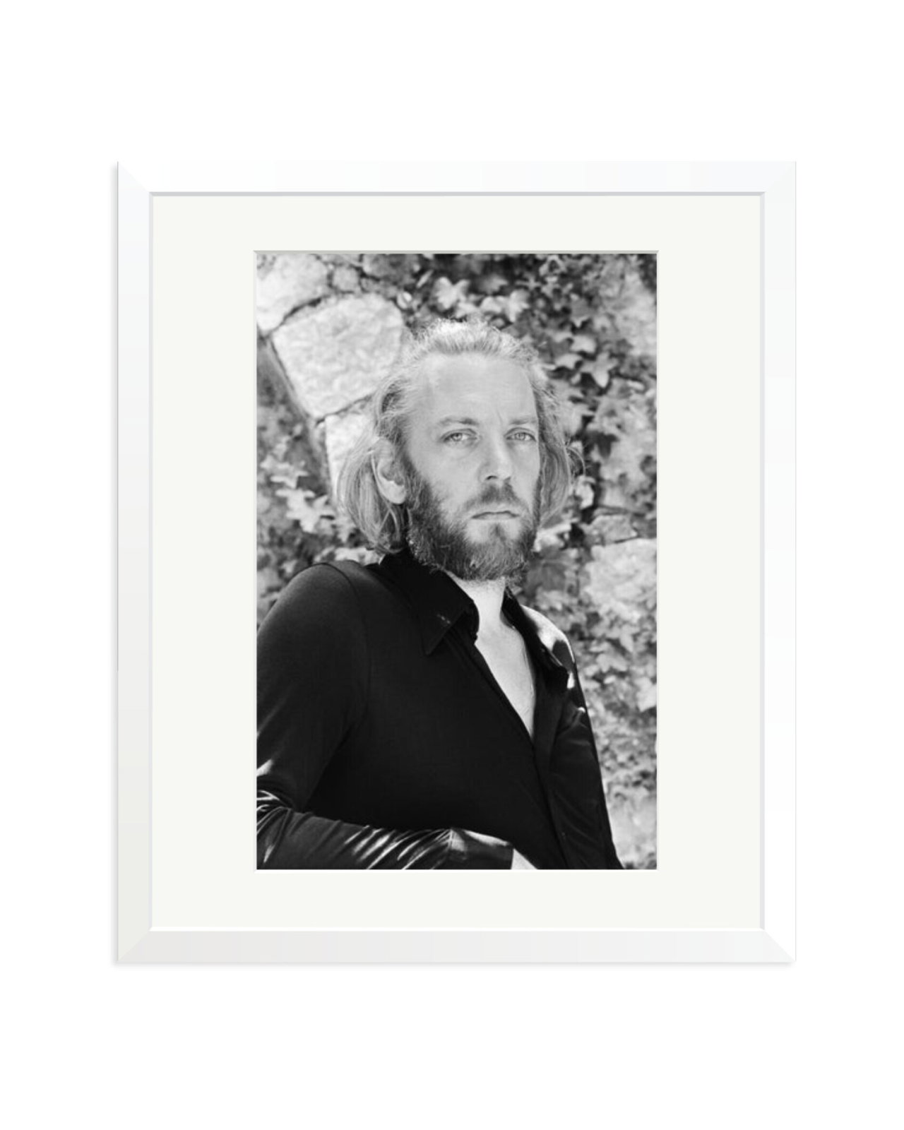 Donald Sutherland White / Large