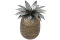 Pineapple-rasia