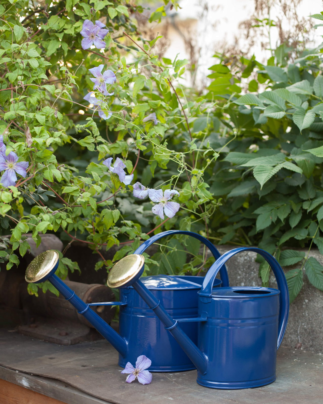 thumbnail interactive-video image 1 of Homarden Copper 30 Oz. Watering Can - Long Spout For Outdoor & Indoor 1 of 13