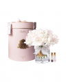 Grand Bouquet Gift Set