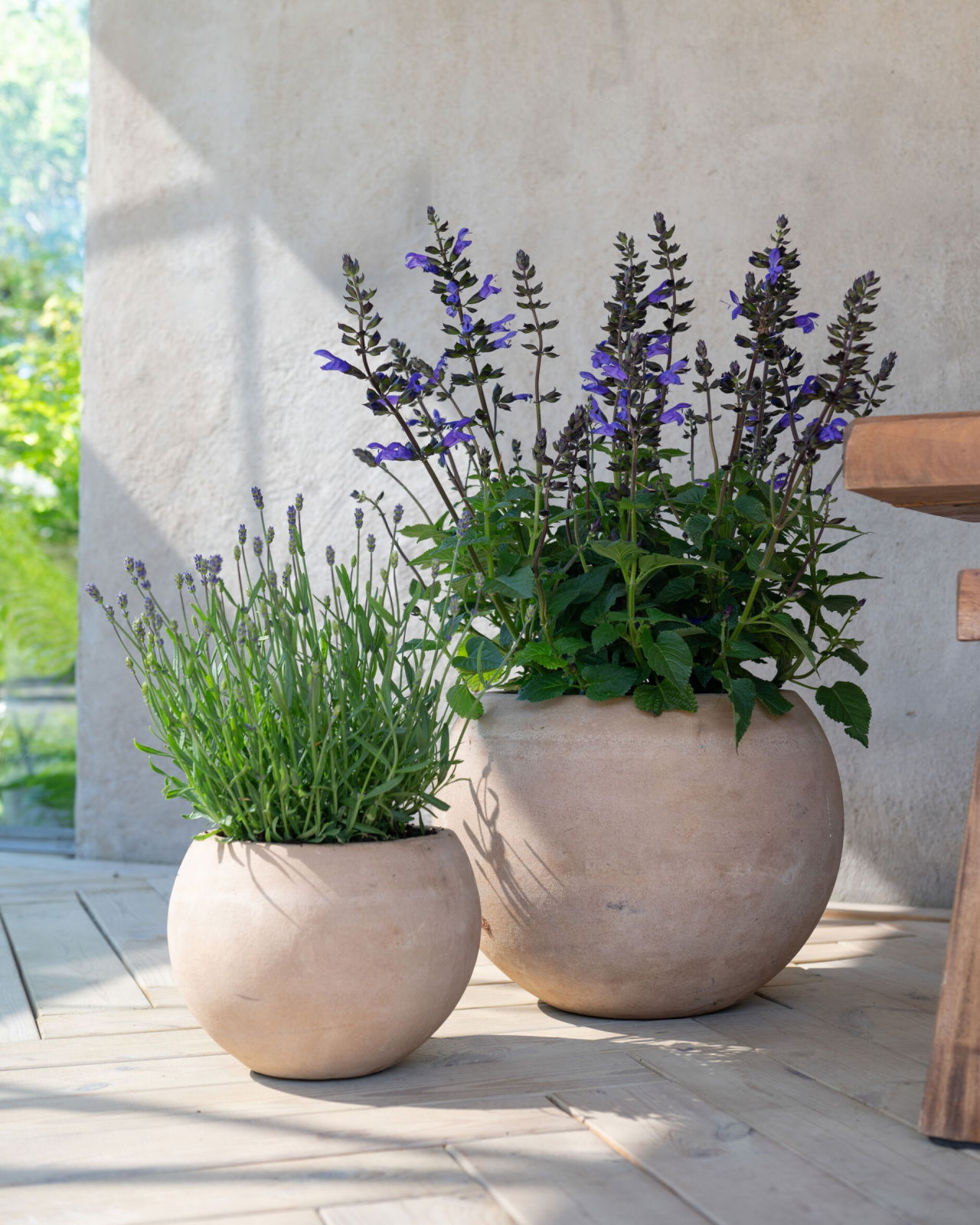 Kate blumentopf antik terrakotta