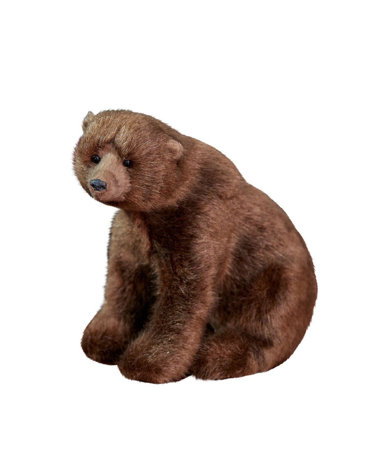 Leopold karhu koriste