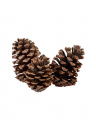 Geoffrey Spruce Cone Christmas Decoration 3-pack