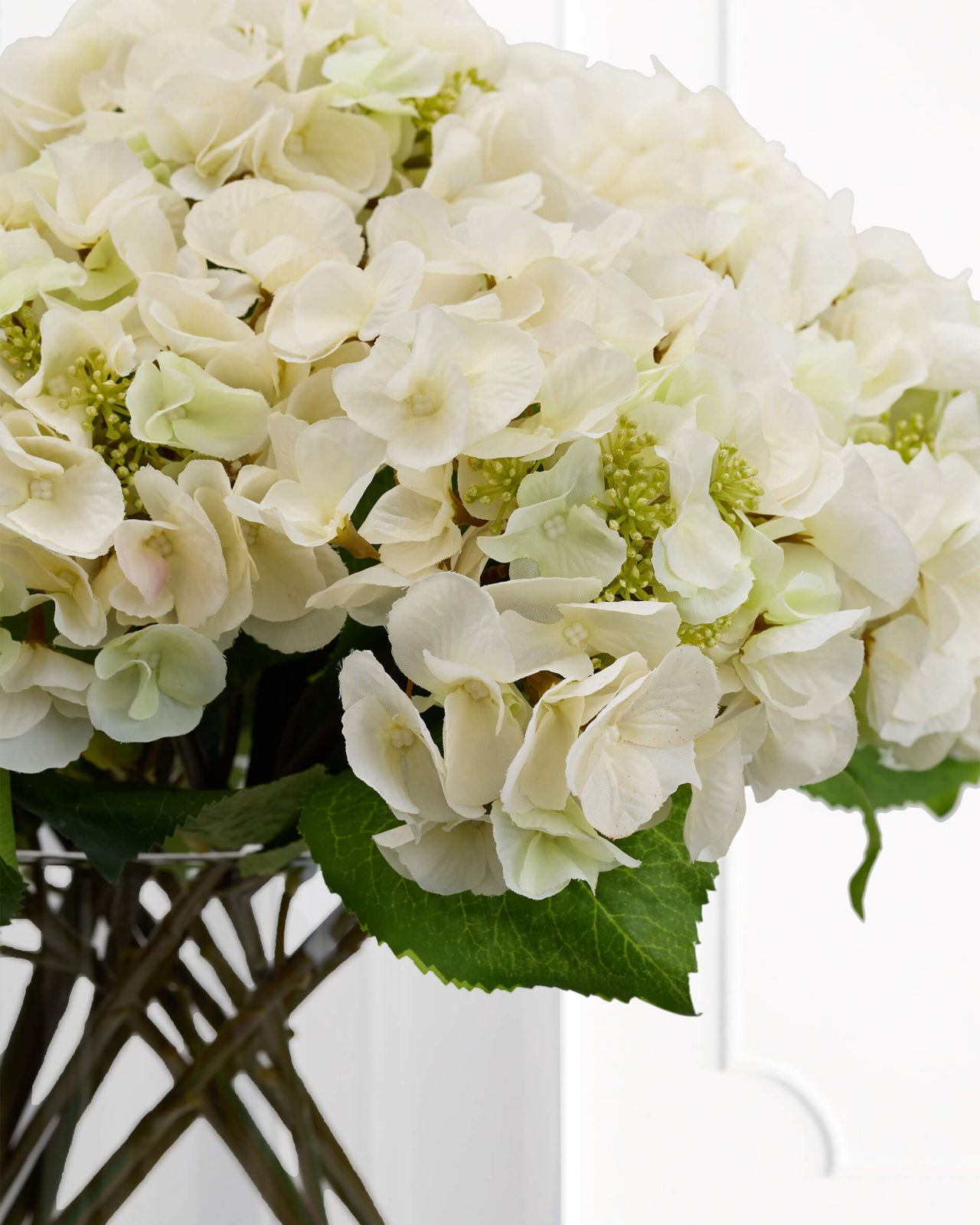 Hortensia – afskåret blomst i hvid