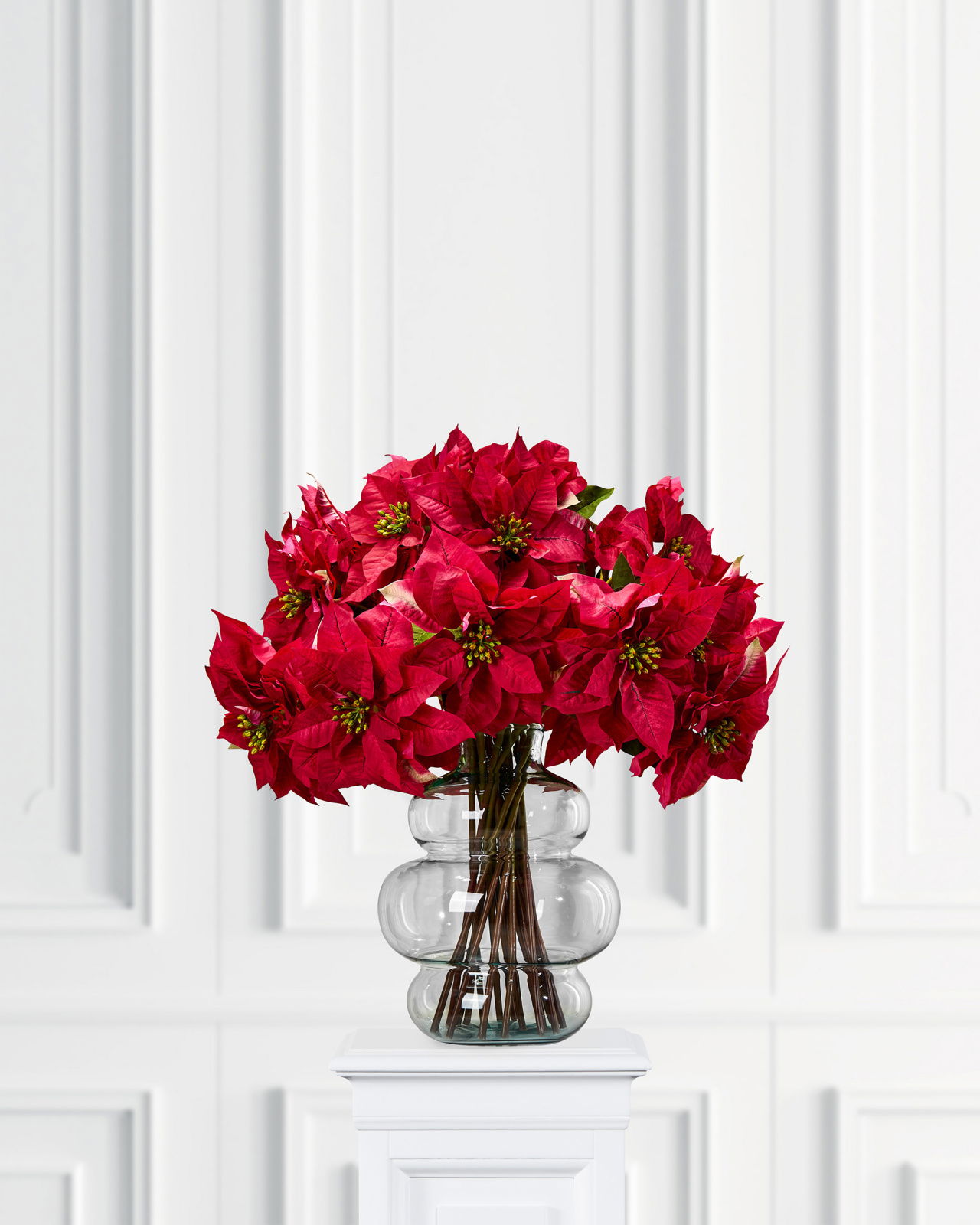 Weihnachtsstern Schnittblume rote