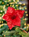 Josephine Flower Christmas Decoration Red