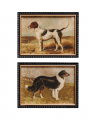 Hunting dogs 2-set