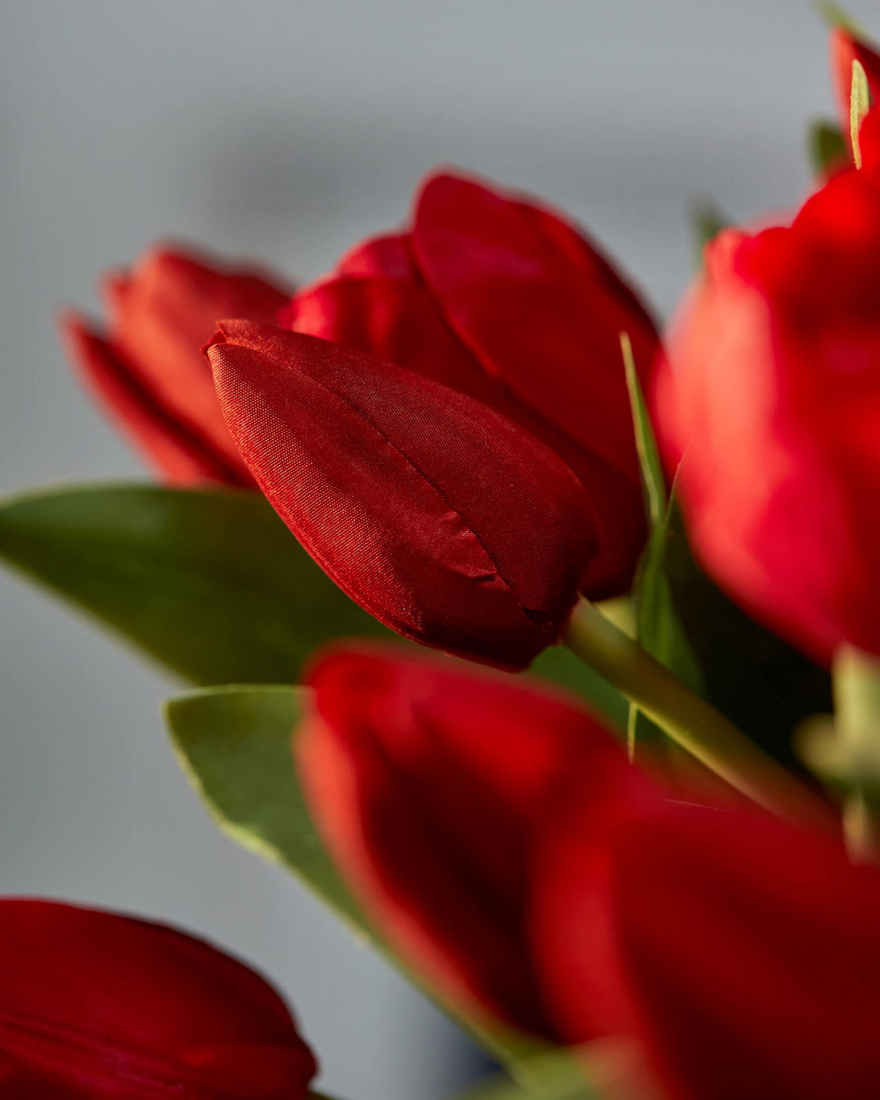 Tulpan snittblomma röd