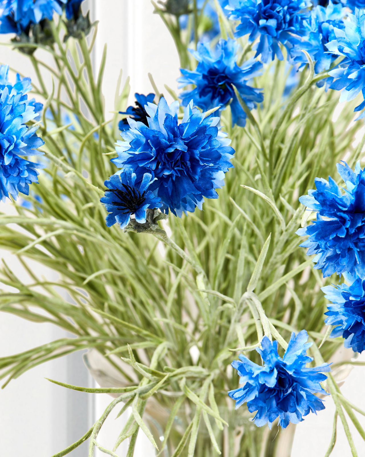 Cornflower Cut Flower Blue