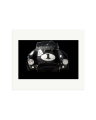 Shelby Cobra Print Only / Large