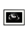 Shelby Cobra Black / XL