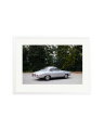 1964 Alfa Romeo Giulia SS White / XL