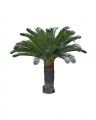 Cycas palm konstträd grön