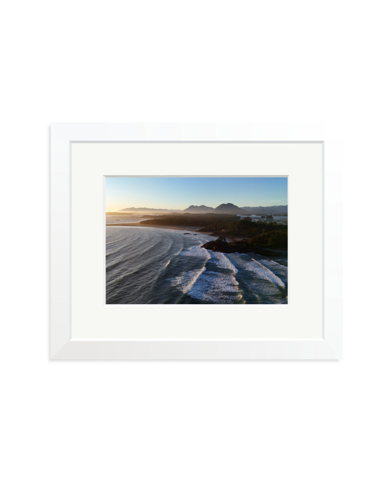 Pacific Swell White / Small