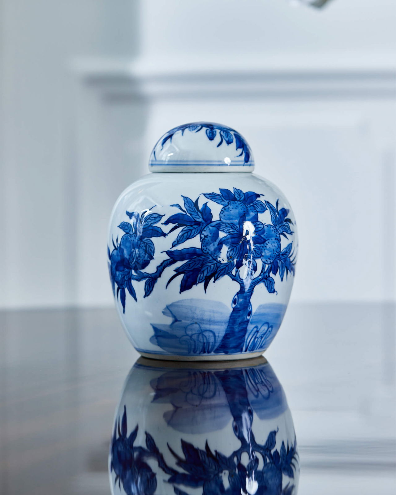 Naomi ingefärskrus blå/vit