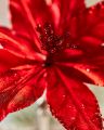 Eleanor Poinsettia Ornament Red