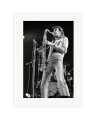 Andy Mackay Print Only / XL
