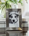 Humphrey Picture Frame, Silver