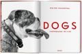 Dogs. Walter Chandoha. Photographs 1941–1991