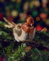 Dorothy Christmas bird ornament