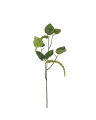 Amaranthus twig 55 cm