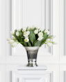 Tulip Cut Flower White