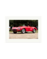 1931 Alfa Romeo Print Only / XL