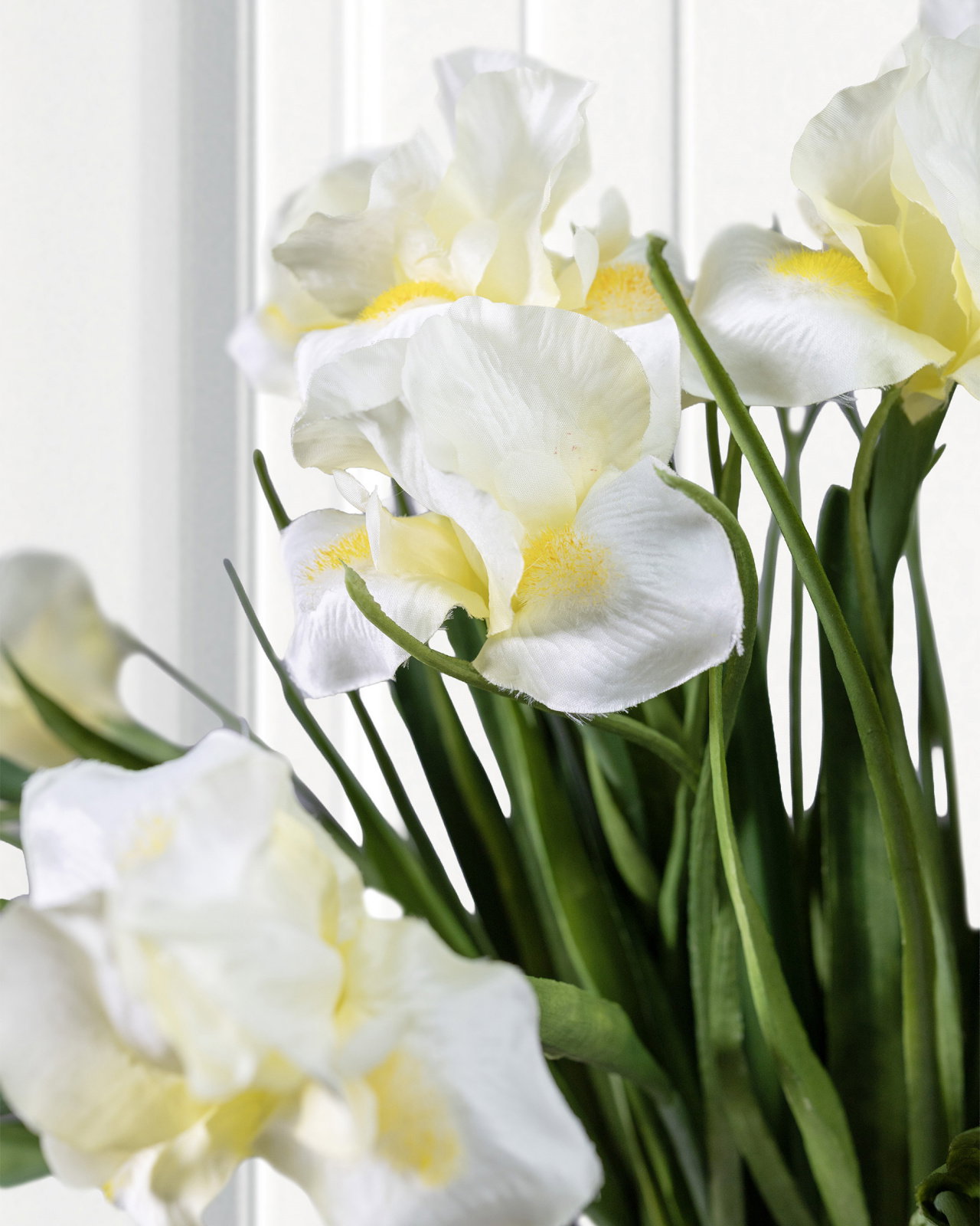 Iris snittblomma gul