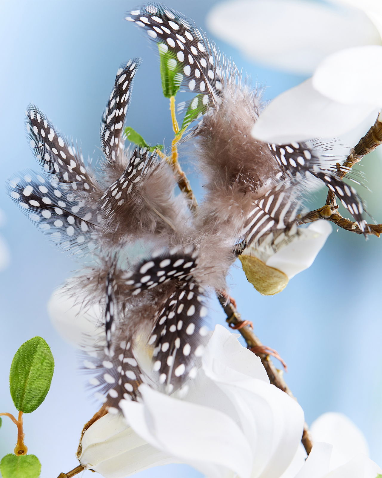 Pärlhöna påskfjädrar