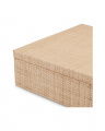 Cadiz Box Natural Raffia L