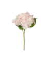 Hortensie Schnittblume rosa