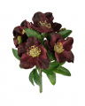 Christmas Rose Bouquet Wine Red