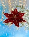 Mabel poinsettia clip (burgundy)