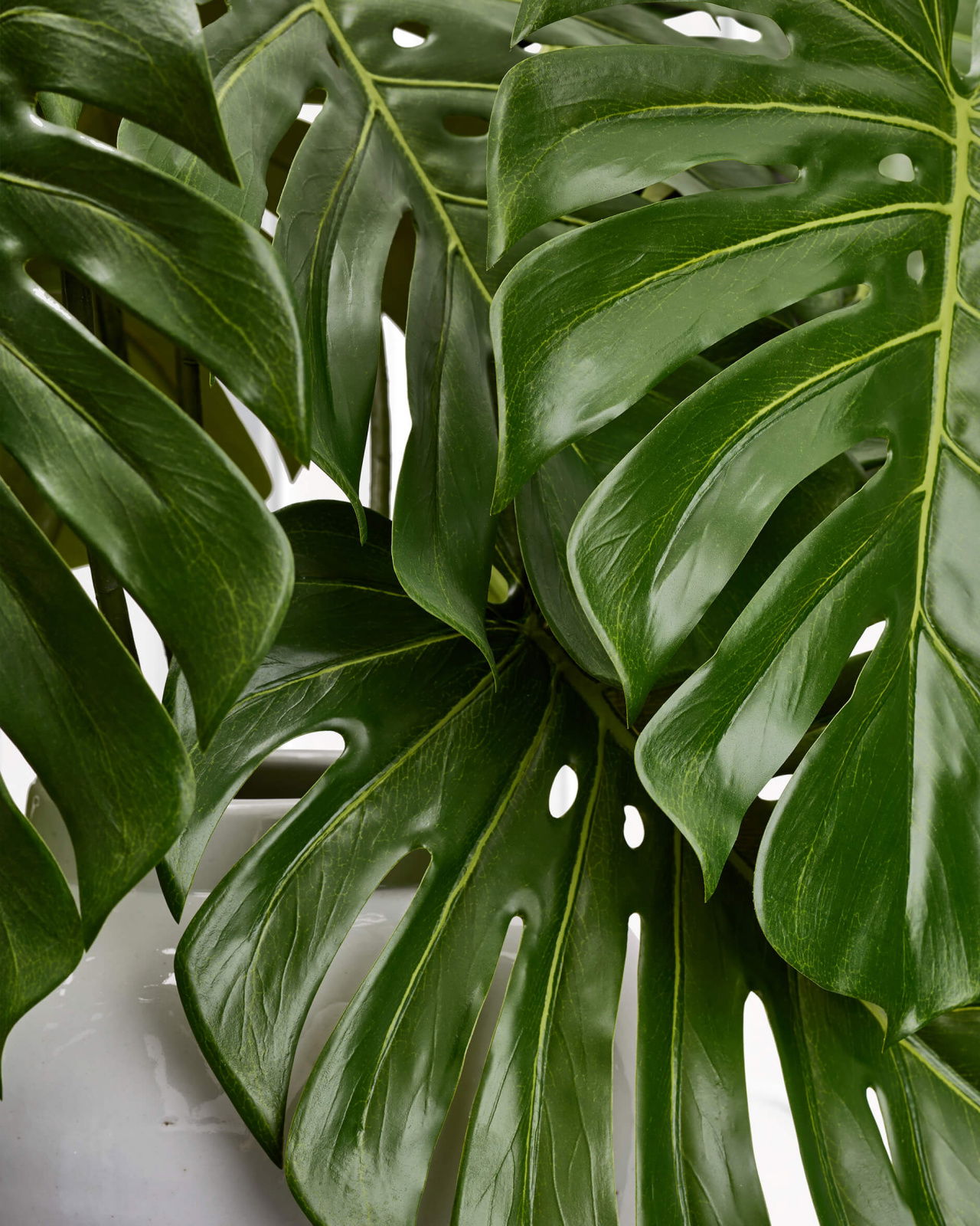 Monstera snittblomma grön