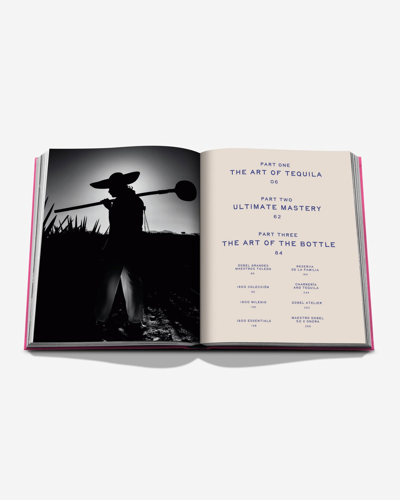 The Art of Tequila, Spirit of Mexico