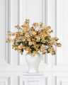 Japanese Climbing Rose Cut Flower Apricot