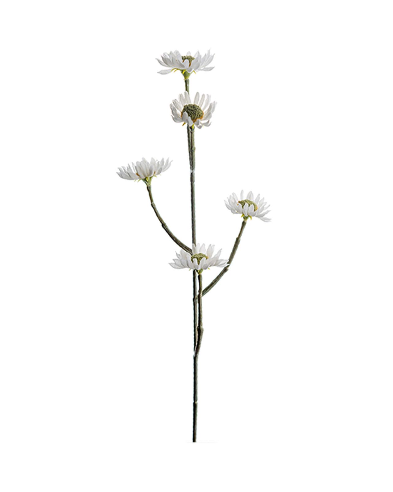 Eternell leikkokukka valkoinen OUTLET