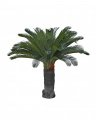 Cycas palm konstträd grön