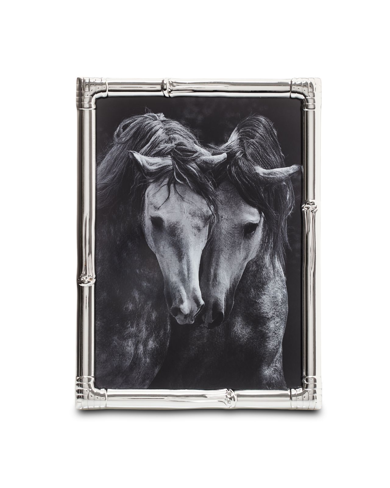 Garner fotoram silver