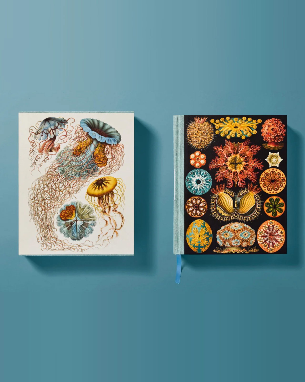 The Art and Science of Ernst Haeckel