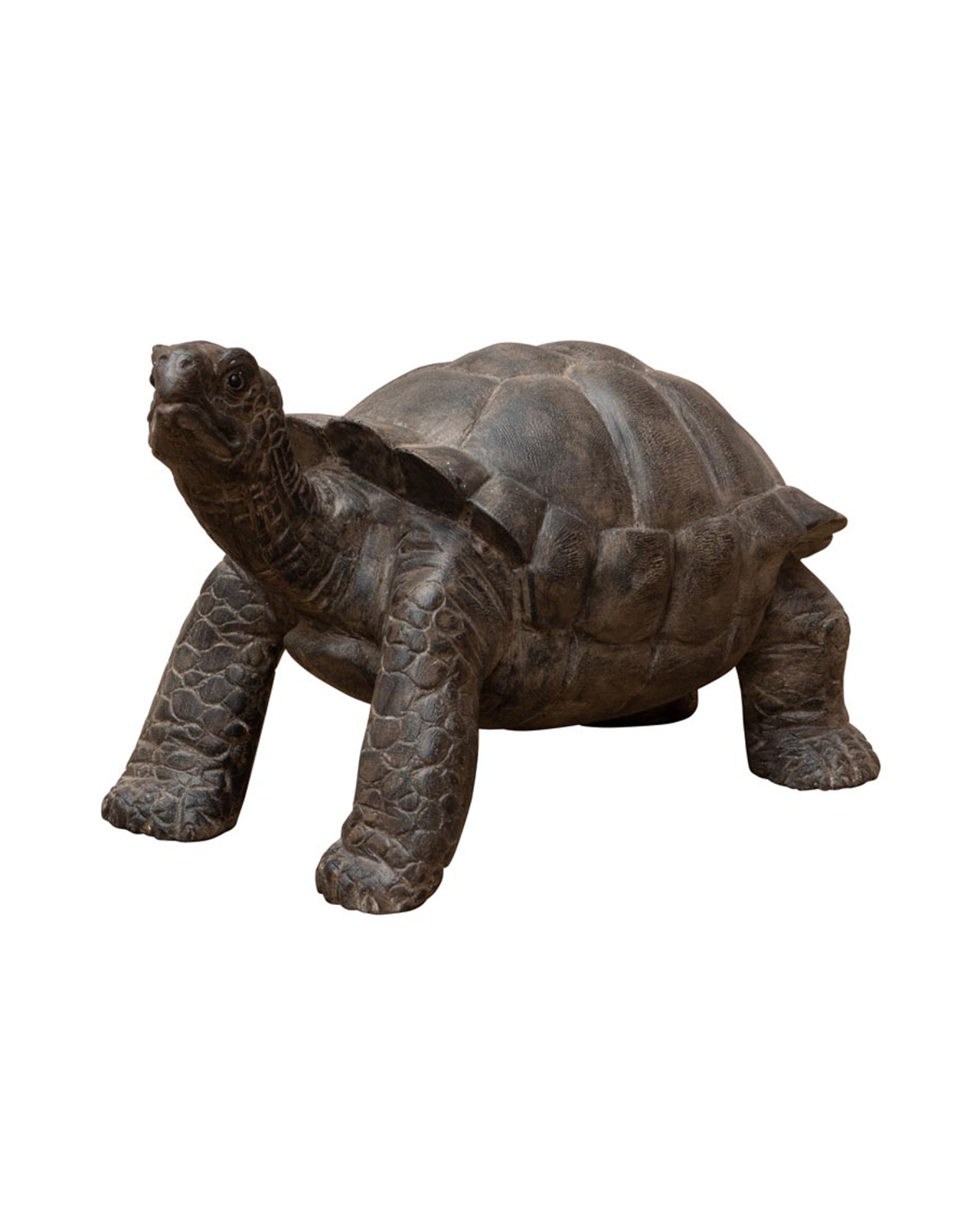 Halston turtle decoration