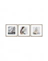 Classic Yacht (Set of 3)