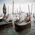 Venice Gondolas