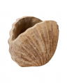 Shell pot antique terracotta