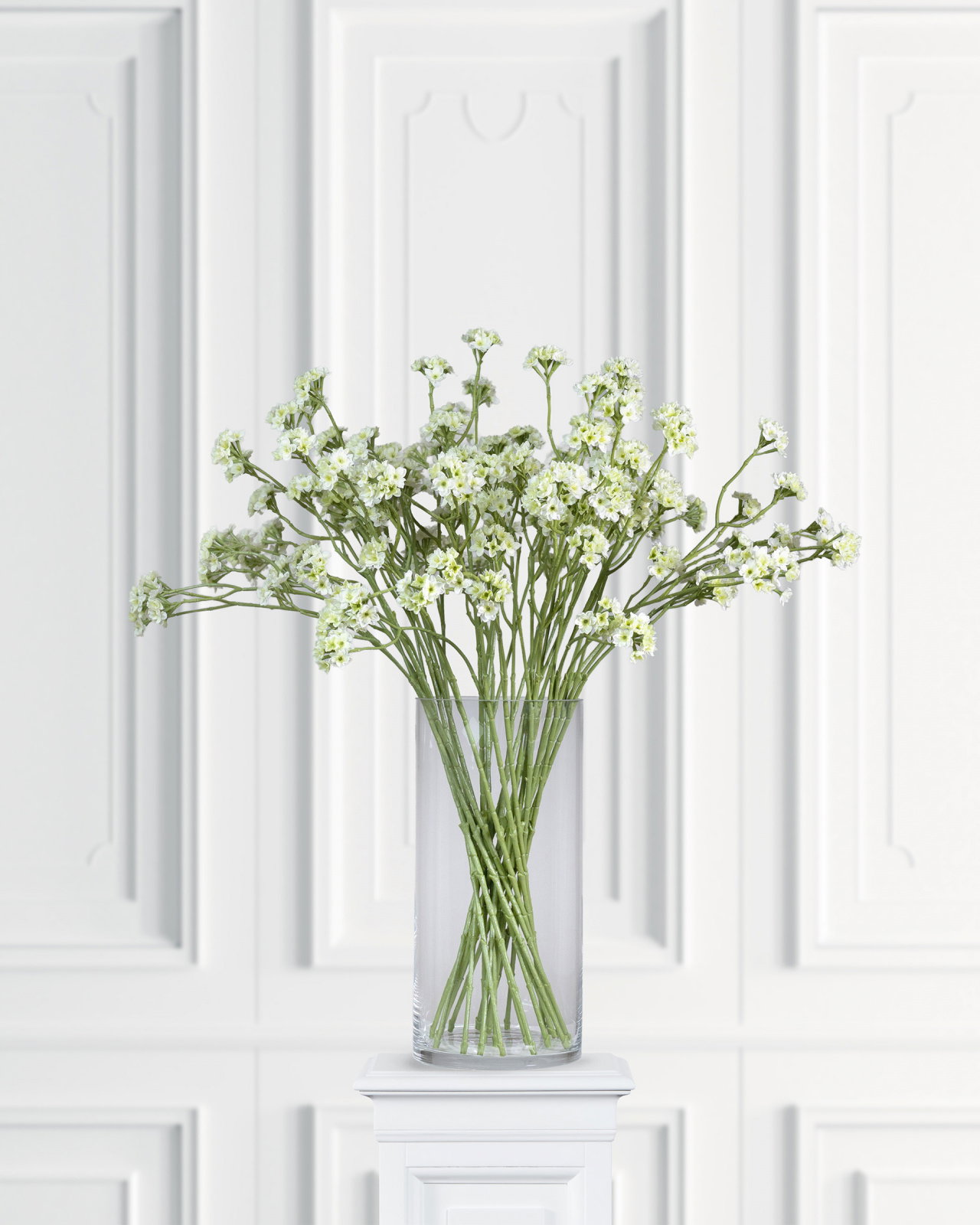 Blomkvist snittblomma vit