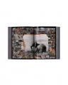 Peter Beard