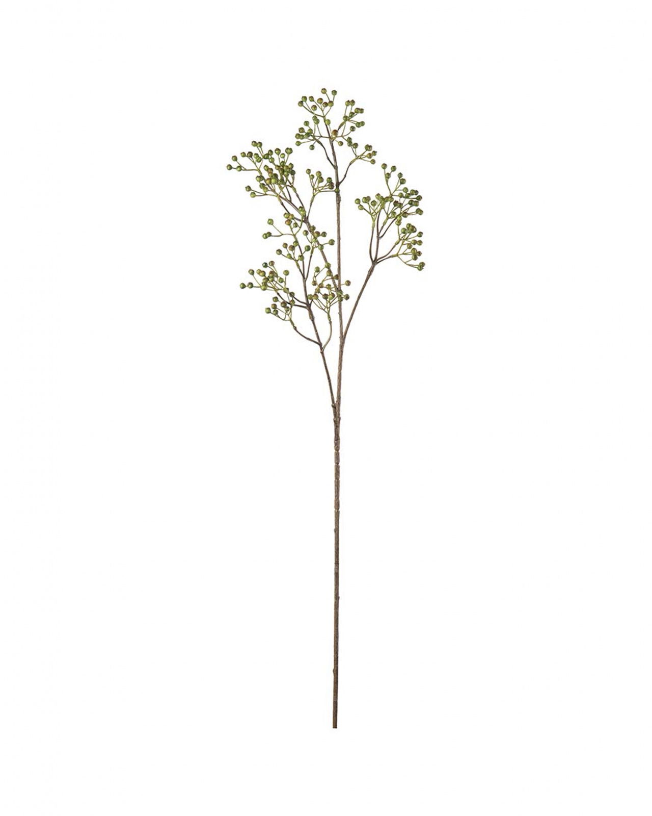 Bessentak snijbloem groen